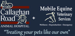 Callaghan Road Animal Hospital